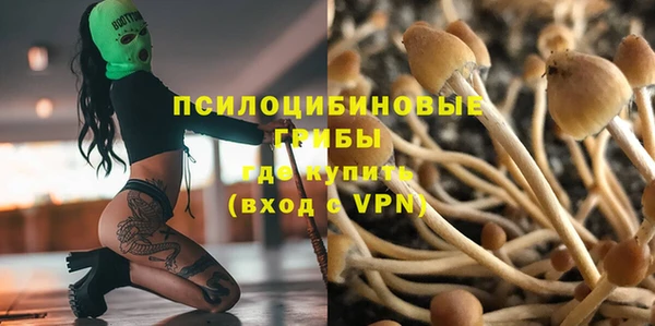 первитин Вязьма