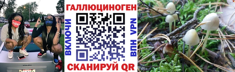 Псилоцибиновые грибы мухоморы Ефремов