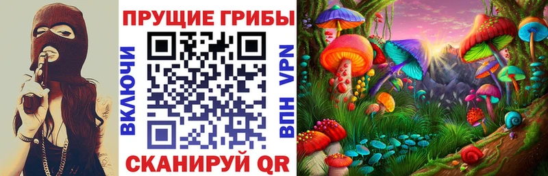 цена   Ефремов  Галлюциногенные грибы GOLDEN TEACHER 