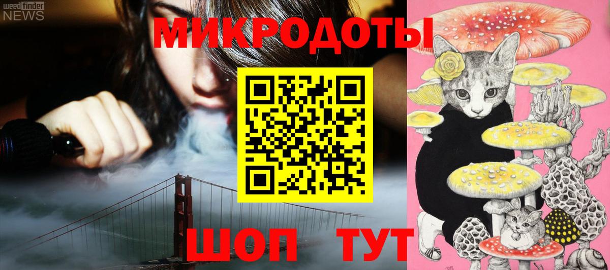 Галлюциногенные грибы Psilocybine cubensis  Галлюциногенные грибы мицелий  Ефремов 