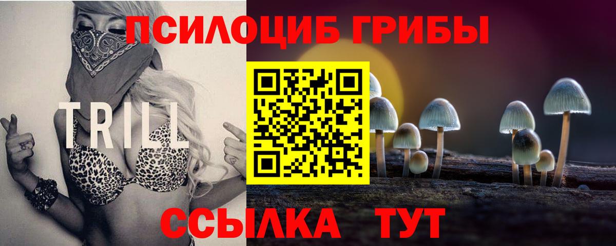 Псилоцибиновые грибы мицелий  Вход с VPN  Ефремов 